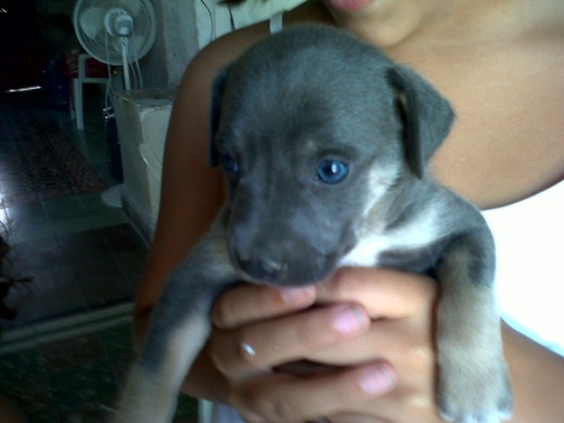 aqui mi bebe tiene sus ojos azules y tiene 1 semana y 5 dias aqui mi bebe tiene sus ojos azules y tiene 1 semana y 5 dias